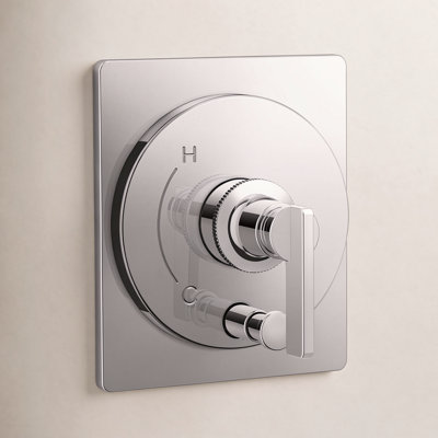 Castia Rite-Temp Valve Trim with Diverter