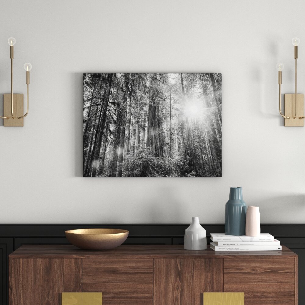 Leinwandbild „Wald bei Sonnenlicht“, Fotodruck