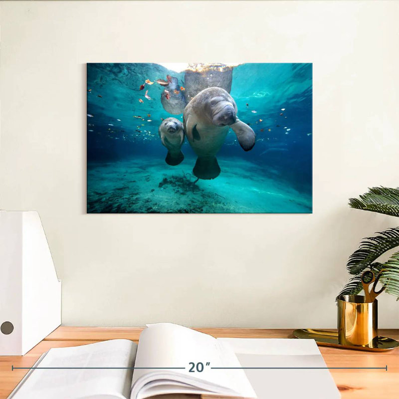 Brampt Manatee And Calf, 8" H x 12" W