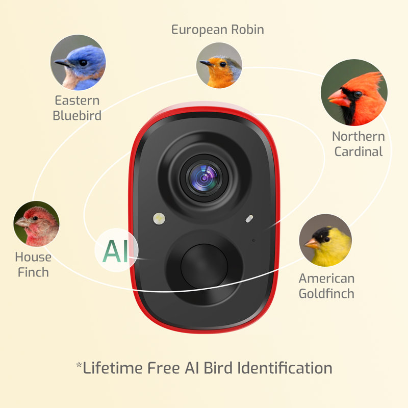 Maison d'oiseaux intelligente en métal Coolfly X Richbird avec caméra HD 2,5K et énergie solaire - rouge grange, Red IPC