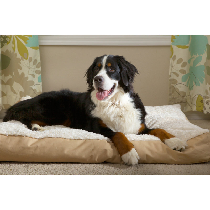 Ultra Plush Deluxe Fiber Pillow Pet Bed, Medium (30" W x 20" D x 3" H), Cream