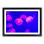 Pink Jellyfish - Picture Frame Painting Print-55583892-55583893
