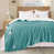 Amazonite classique est en rupture de stock