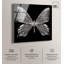 Art acrylique papillon Stardust Wings II par Art Remedy, prêt à être accroché-1653609157