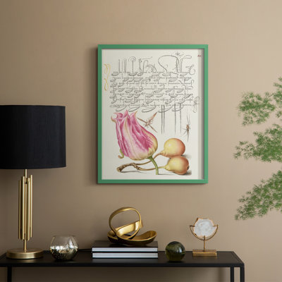 Reproduction encadrée de Hoefnagel, «Tropical Specples III» - bois massif