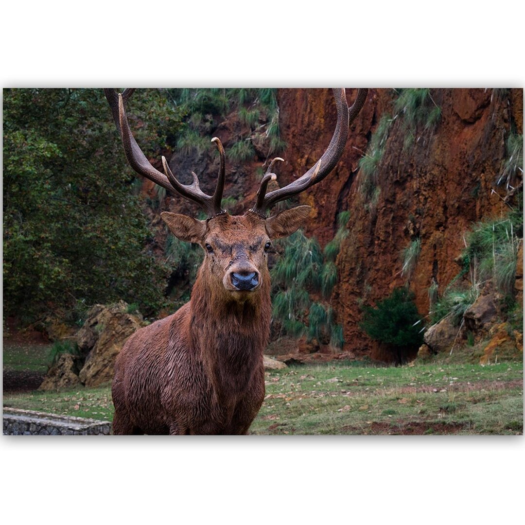 Leinwandbild - Grafikdruck „King of the Forest”