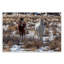 Plaque murale «Arches Horse pair in Snow», conception par Jeff Poe-1432289727