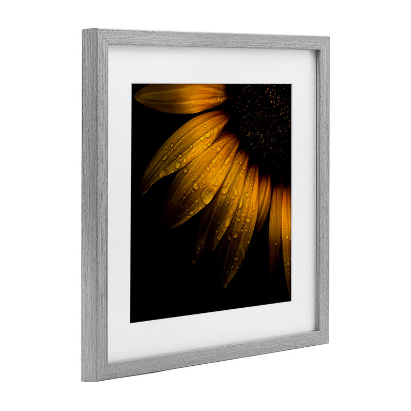 Tournesol détail avec gouttelettes, reproduction encadrée sous verre, design par Brian Carson, H 13 po x l 13 po