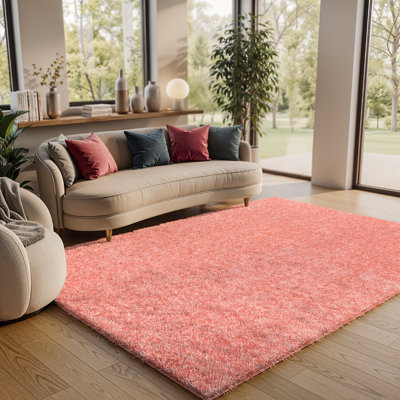 Aunaleigh Solid Colour Shag Area Rug
