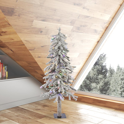 4' Lighted Pine Christmas Tree