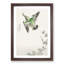 Japanese Common Kingfisher by Numata Kashu - Framed Print-55770377-55770376