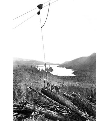 " Logging Scene "