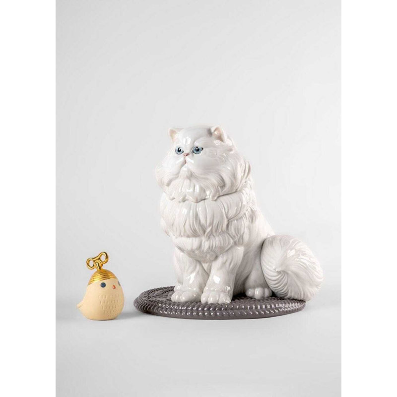 Persian Cat