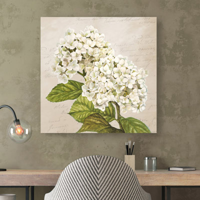 Hydrangeas III (Neutre) by Remy Dellal - Wrapped Canvas Print