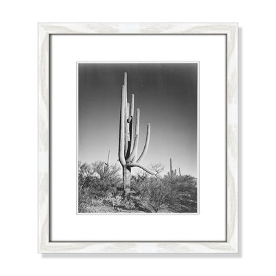 Saguaro National Monument Print by Ansel Adams
