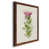 Maple Framed