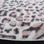 Tapis à imprimé animal Ameyaa Performance-383574057