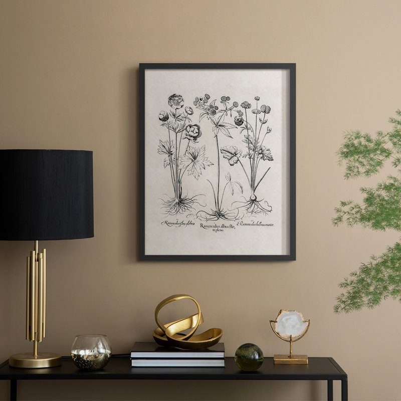 Reproduction florale rétro encadrée Cccxxv - bois massif, H 21 po x l 17 po, Noir, noir, noir, noir