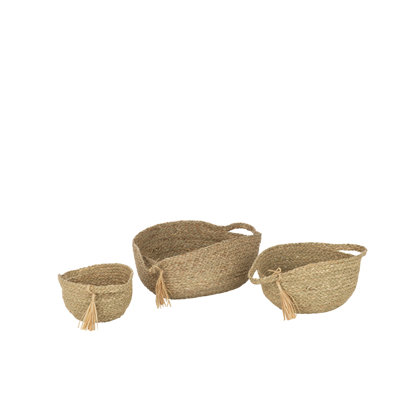 Highland Dunes Waylan Solid Wood Box