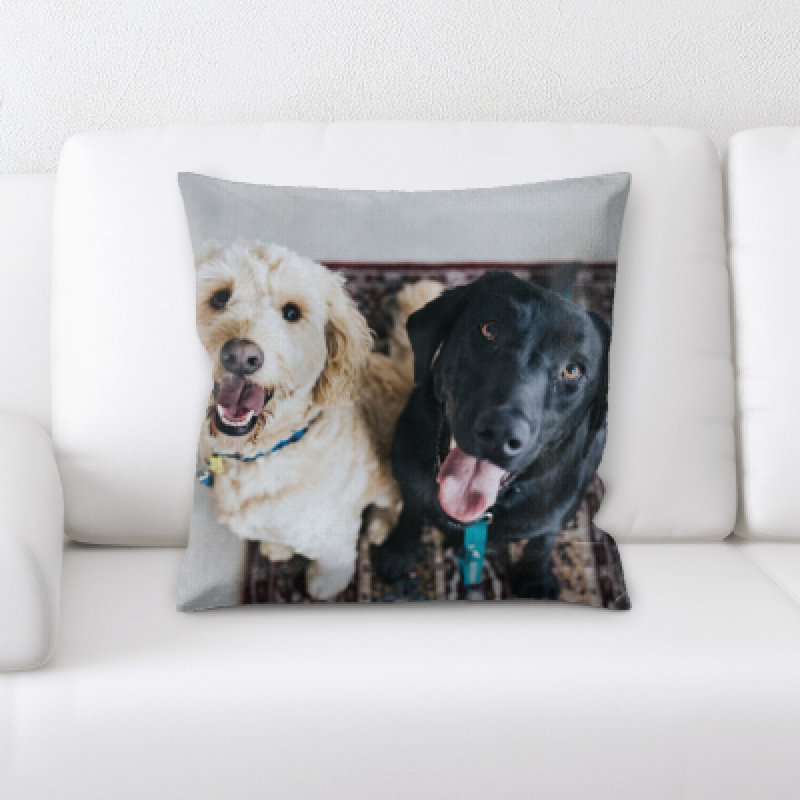 Coussin pour chien