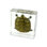Presse-papiers tortue autaugaville