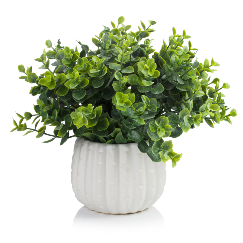 Herbe d'eucalyptus artificiel 10 po en pot