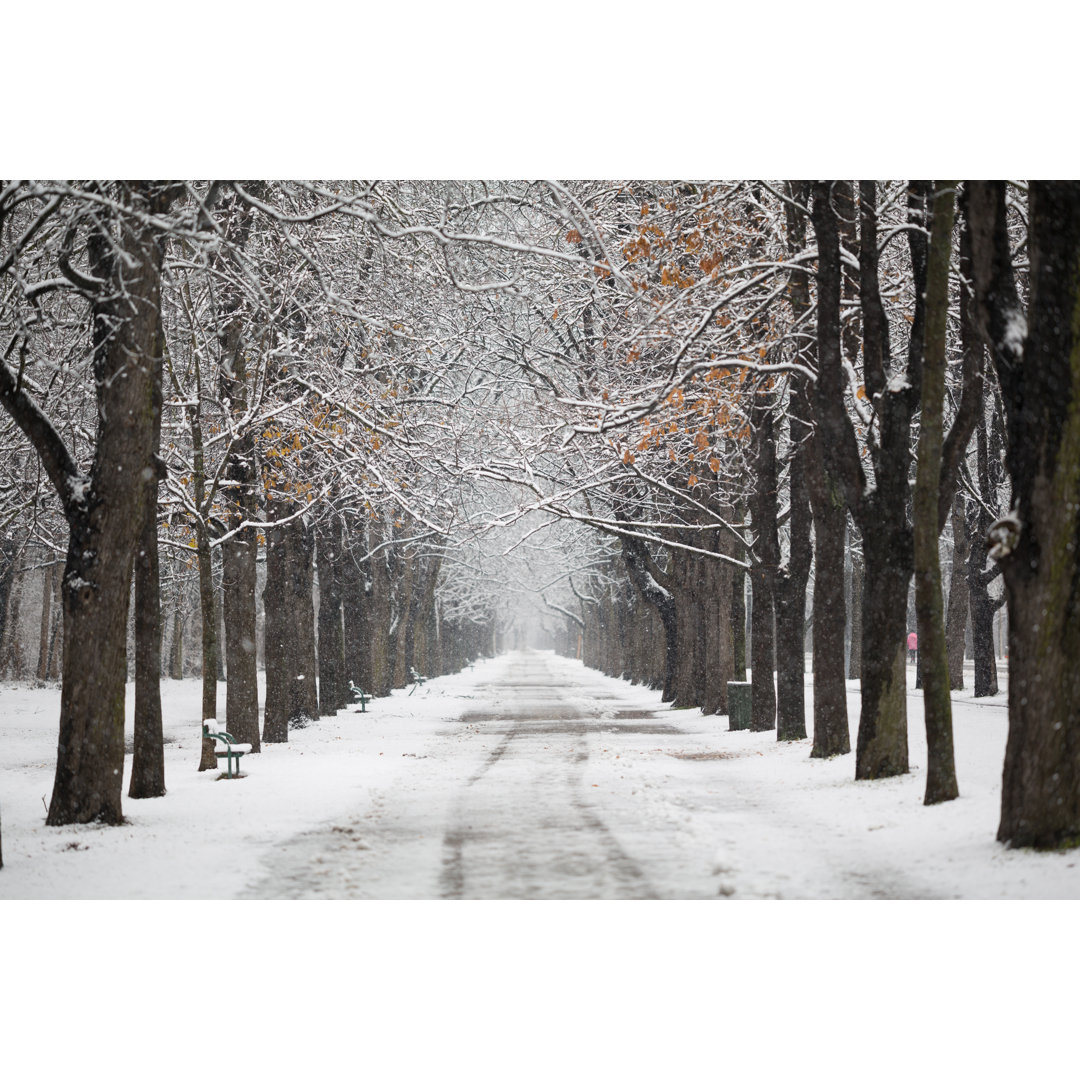 Allee im Winter mit Schnee von Amri - Leinwandbild