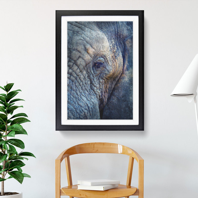 Blue Elephant - Picture Frame Photograph Print, Black Framed, 63cm H x 45cm W x 2cm D