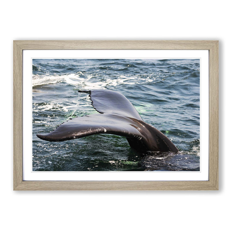 Whale Tail Framed Photographic - Framed Print, Oak