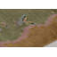 Rug & Kilim’S Chinese Art Deco Rug, Green With Cherry Blossom Florals-1687859035