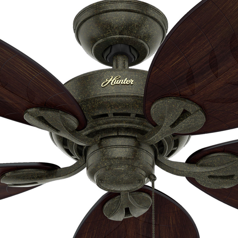Ventilateur de plafond d'extérieur à 5 pales 54 pouces avec chaînette Bayview, Or provençal