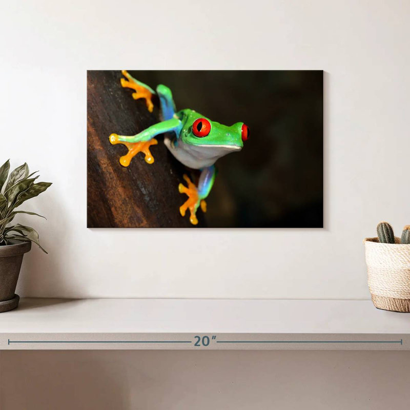 Brampt Tiny Red-Eyed Tree Frog, 8" H x 12" W