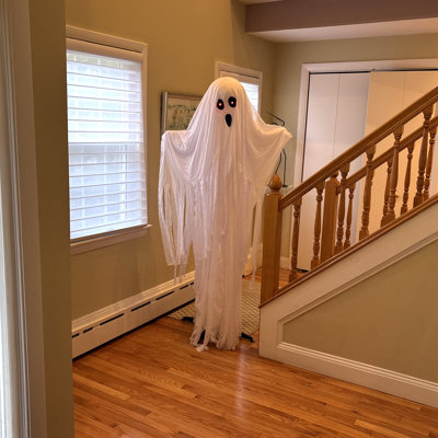 Fantôme animé 72 po Lifesize