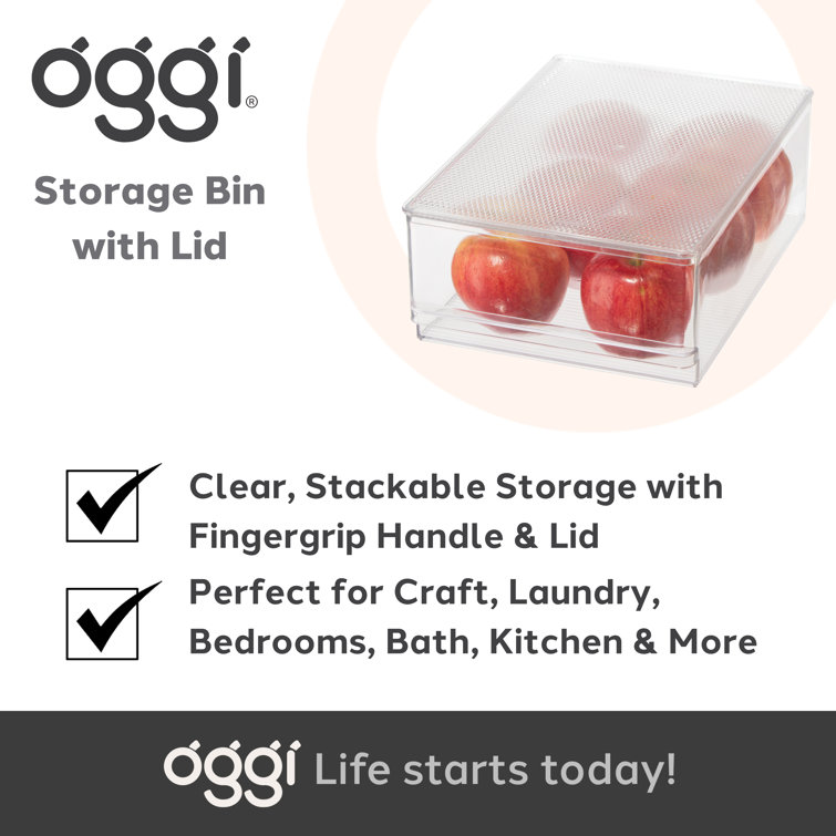 Oggi 6 Piece Fridge, Pantry Bin with Finger Grip Handle Set - Clear