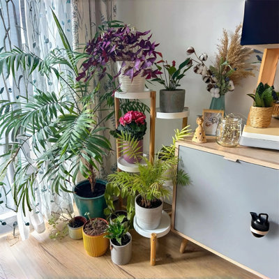 Support à fleurs en bambou à 4 niveaux pour porte-pots de jardin d'intérieur en coin abdikarin pour jardin salon chambre balcon