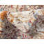Tapis à motif oriental kaki Widger-1581839699