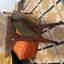Customer photo 4 of 5