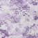 Jedikiah Washable Damask Indoor / Outdoor Rug