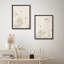Lotus Pond-104785183-104785185