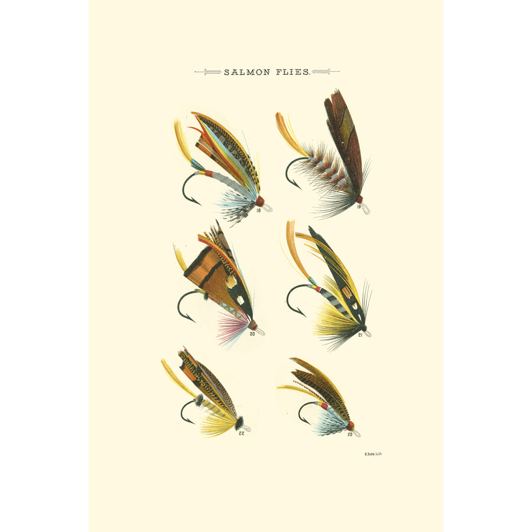 Salmon Flies I by Vision Studio - Wrapped Canvas Print