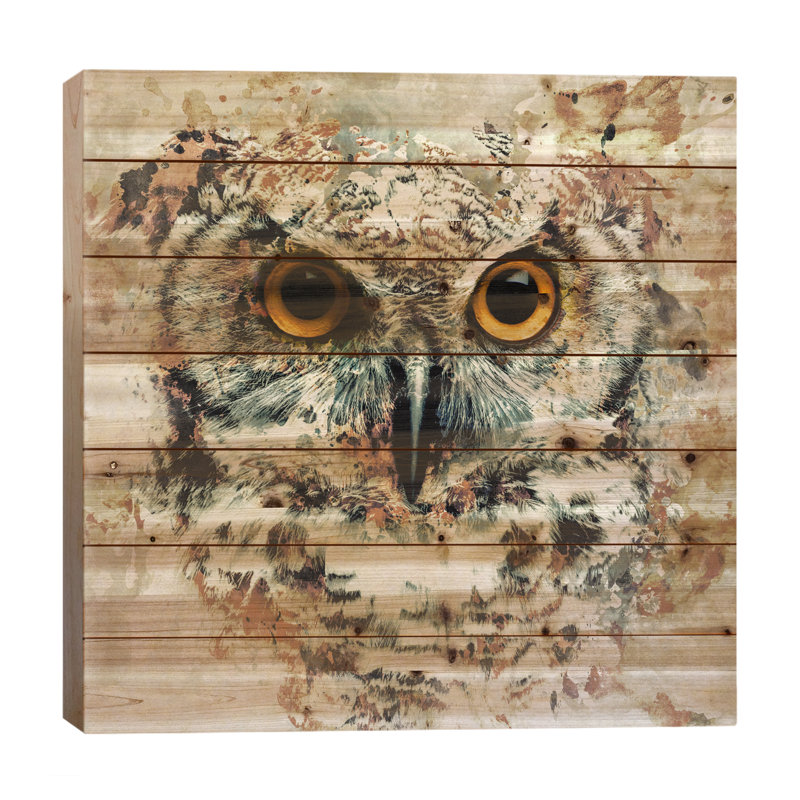 " Owl II " by Riza Peker
