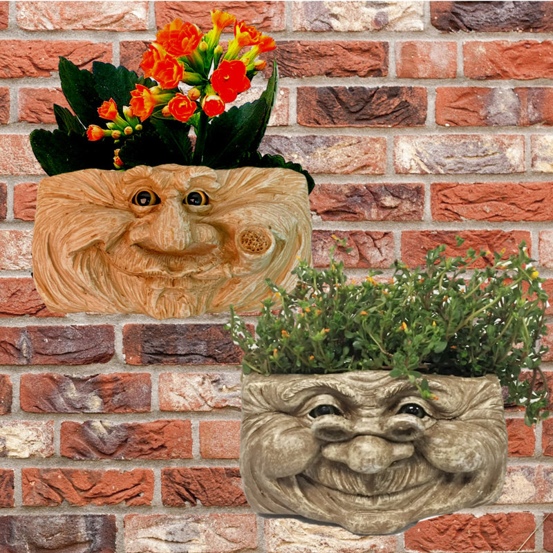 Pot de fleurs à motif de marguerites et de pleurs de Muggly's 2 pièces, Délavé à la pierre