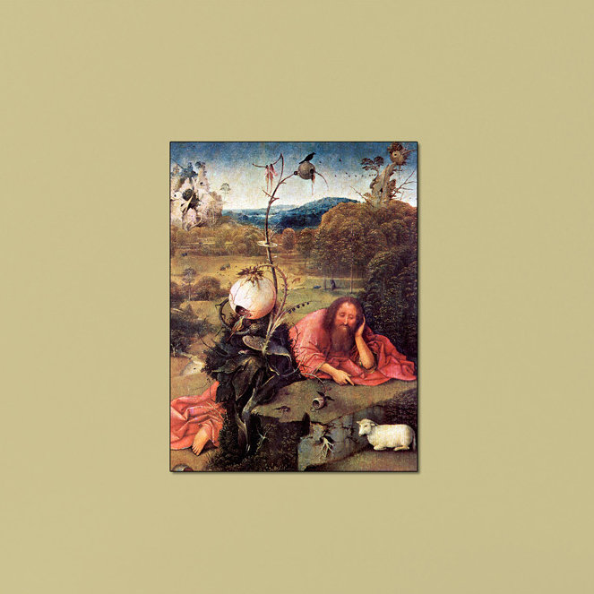 Hieronymus Bosch - Wrapped Canvas Painting