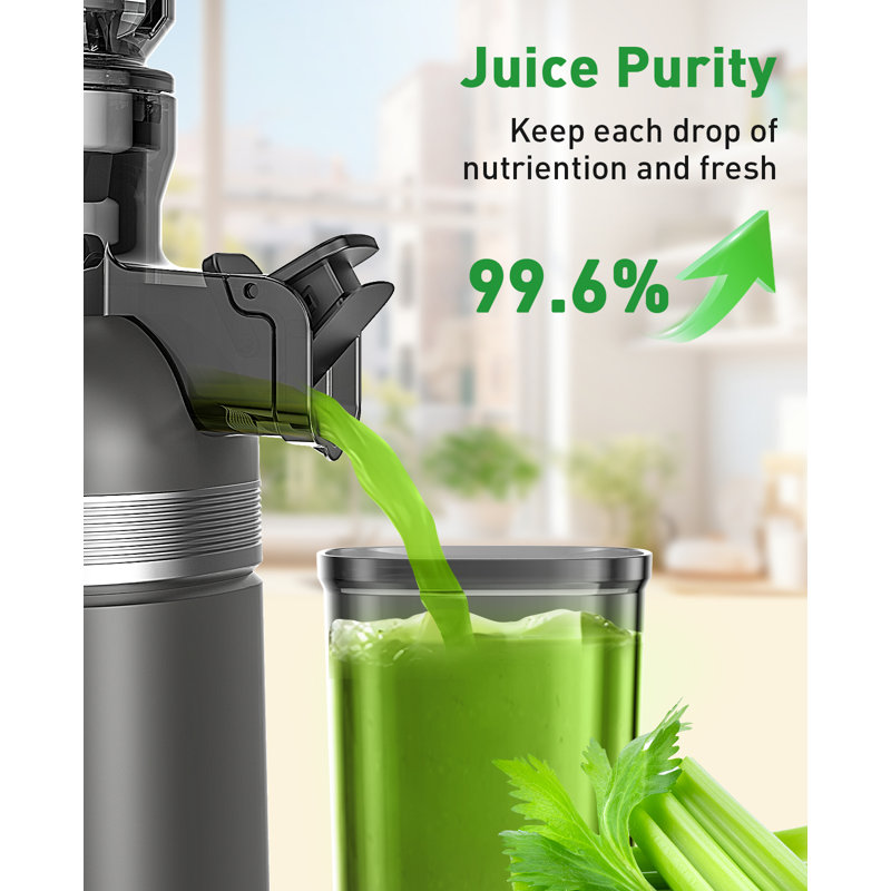 Extracteur de jus GlowWise à presser à froid avec lames intégrées et une goulotte de 4,35 po de largeur pour les fruits / légumes entiers. Silencieux, facile à nettoyer et à haut rendement en jus pour un jus efficace et sans tracas.
