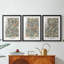 Ensemble de 3 pièces de la collection Dccmxcv de William Morroc-932270072-932270074