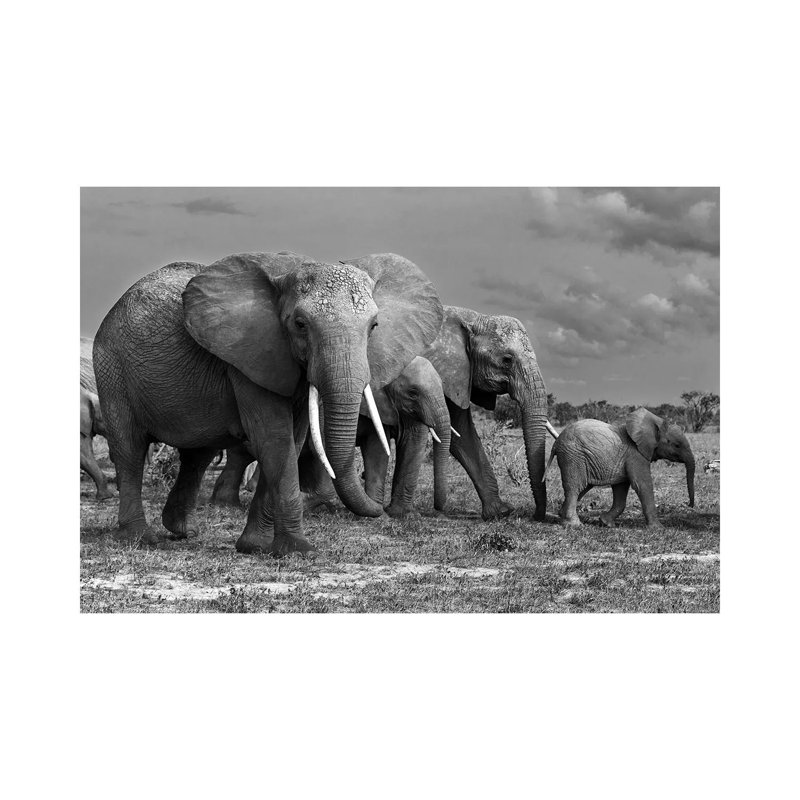 Elephants Family 1 Piece Wrapped Canvas Wall Art, 20.32 cm H x 30.48 cm W