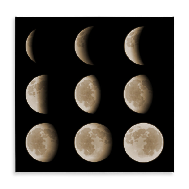 Eclipse in Nine Phases Tablecloth | Black Earth & Galaxy Decor