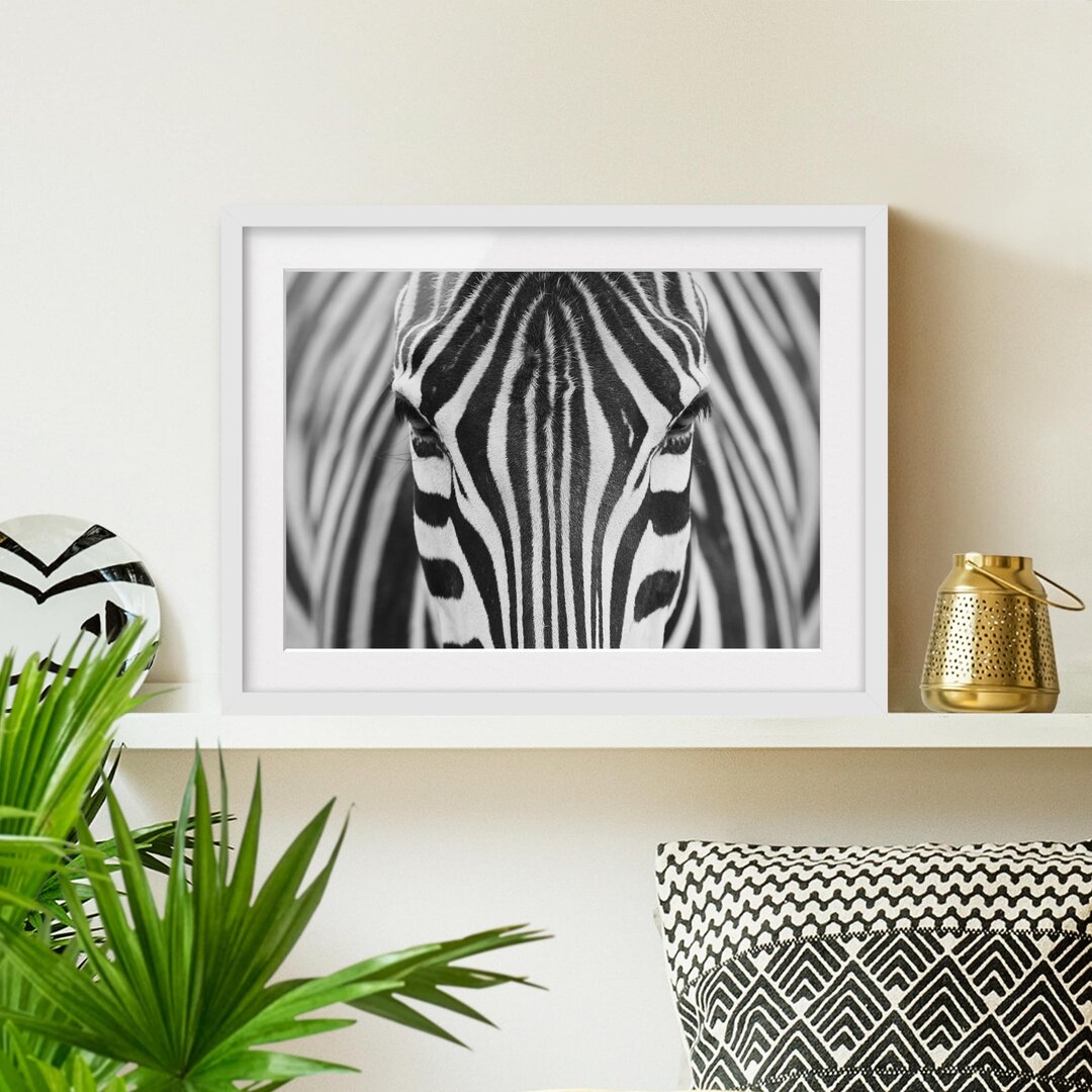 Gerahmtes Poster Zebra Look