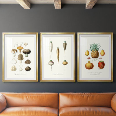 Variétés de fruits et de légumes IV - reproduction encadrée sur mesure de qualité supérieure - 3 pièces