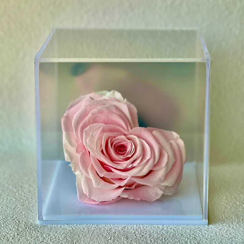 Arrangement de roses en boîte